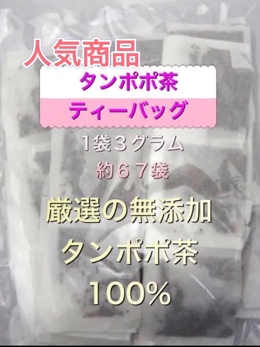 たんぽぽ茶タンポポ茶 ティ-バッグ大容量約230g約67袋数量限定特別価格_画像1