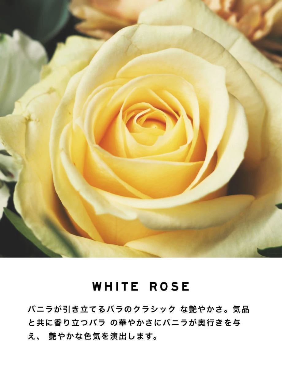 2021年激安 SHOLAYERED WHITE ROSE