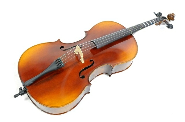 引取限定】 Buono PROFONDO MODELLI CONTROLATTIA A CREMONA 4/4