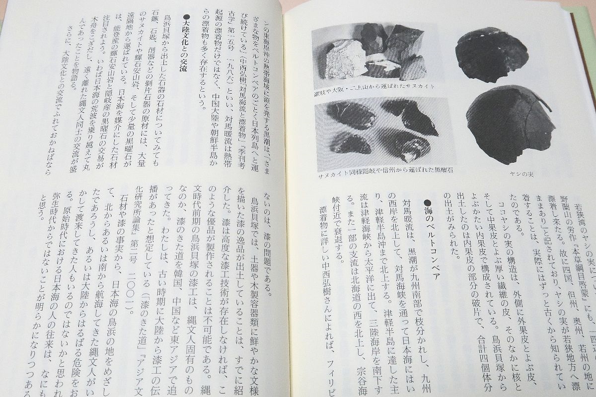 鳥浜貝塚・縄文人のタイムカプセル/森川昌和・発掘調査に携わった考古学者/鳥浜貝塚の発掘は縄文時代に関する考古学の常識を変えてしまった_画像10