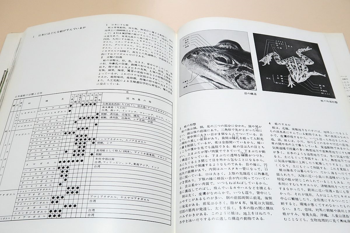 日本の蛙・種村ひろし写真集/オタマジャクシの生活を終えて蛙になる様子が順を追って記録されている/目で見る蛙の入門書としてお勧めしたい_画像10
