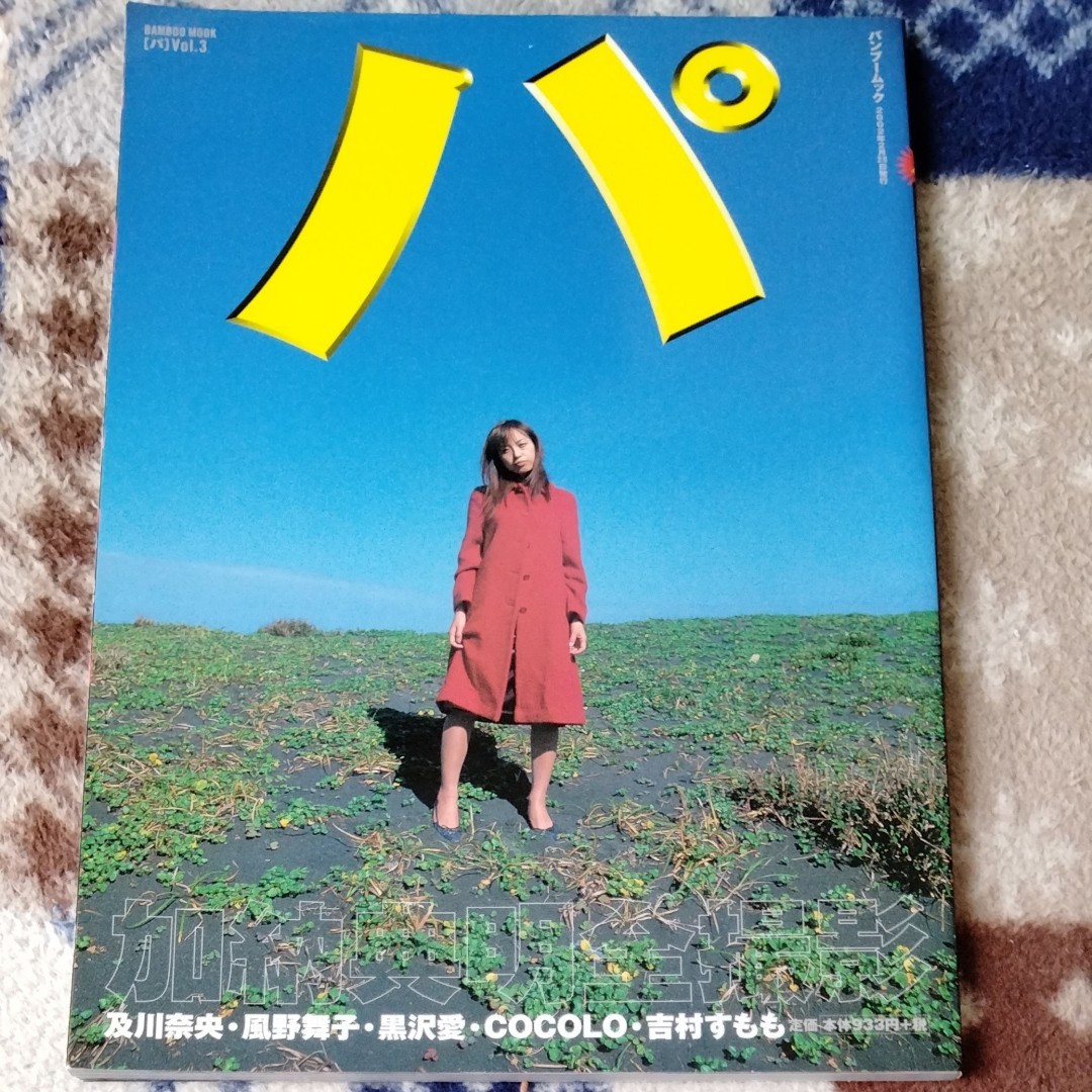 写真集系雑誌　パ