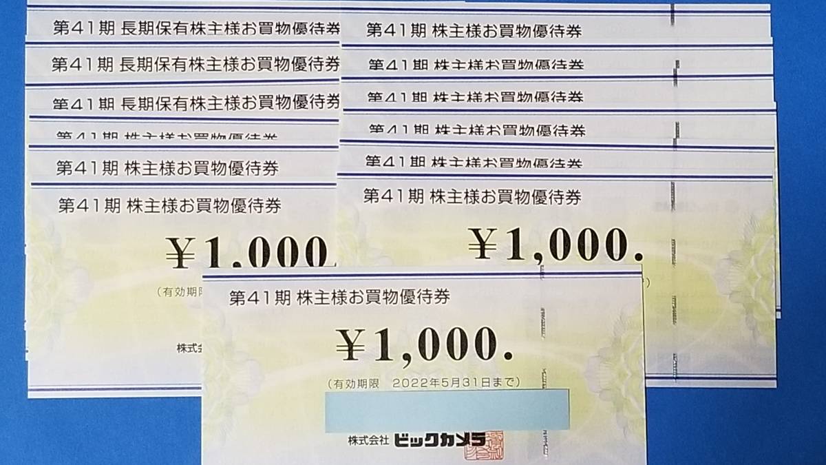 ビックカメラ 株主優待券 13000円分 送料無料 mauria.com