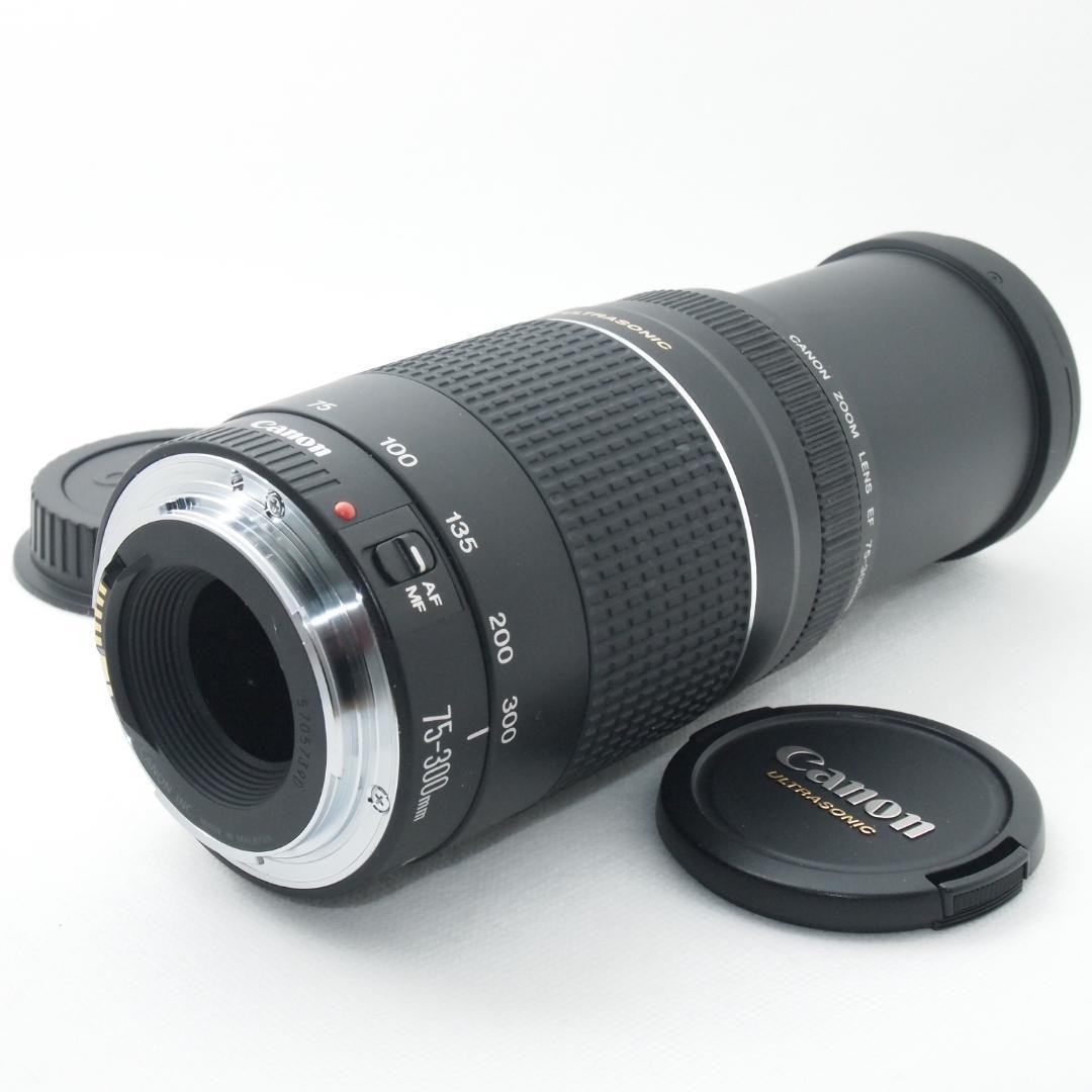 望遠レンズ キャノン 大迫力300㎜ Canon EF75-300 USM