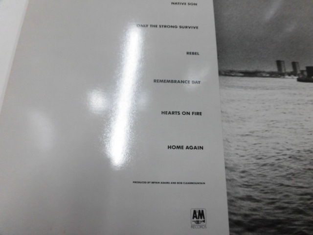 輸入盤LP Bryan Adams/INTO THE FIRE_画像3