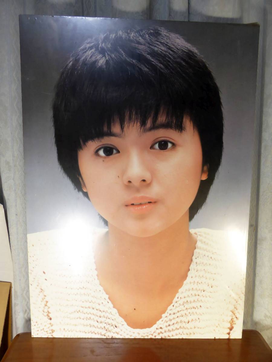送料無料 百貨店 1982年(昭和57年)当時モノ小西六(コニカ前身)サクラカラー白 や行