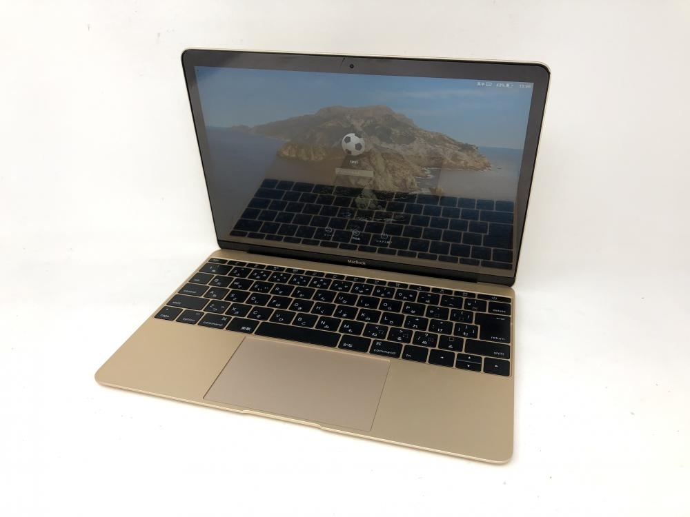 M823【ジャンク品】 MacBook Retina Early 2016 12インチ SSD 256GB