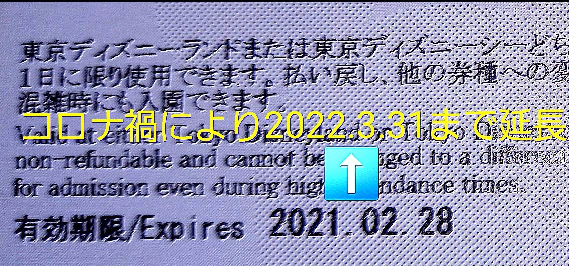 数量限定価格 ディズニー チケット ２枚組 3月22日 火 9時入園 ディズニーその他 Www Comisariatolosandes Com