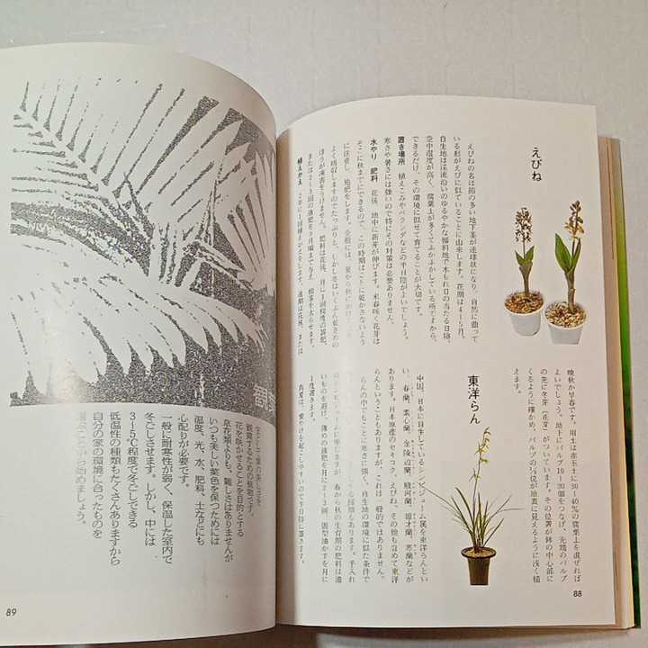 zaa-315♪はなの本―鉢花と観葉植物100種 手入れのこつ (家庭の園芸) 単行本 1987/4/1 渡部 弘 (著)