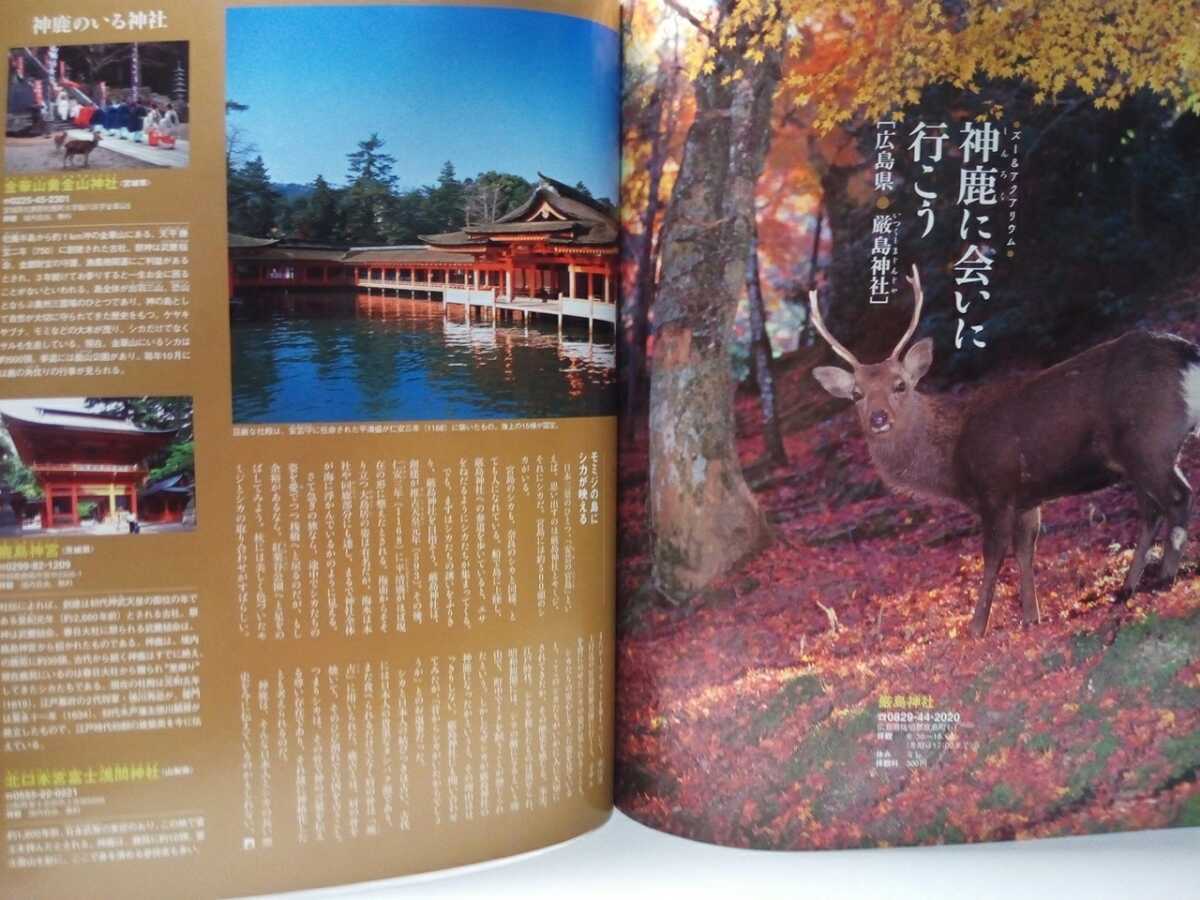 絶版◆◆週刊日本の天然記念物15奈良のシカ◆◆古都奈良県奈良公園ニホンジカ 春日大社鹿の角伐り☆慶良間諸島ケラマジカ☆広島県 厳島神社_画像9