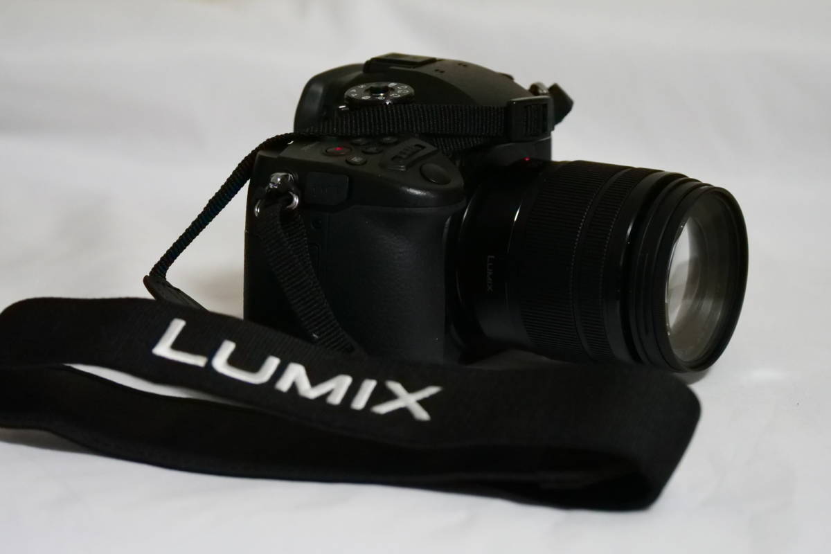 PANASONIC Lumix GH5 DC-GH5M 12-60mmレンズキット | laninternet.com.br