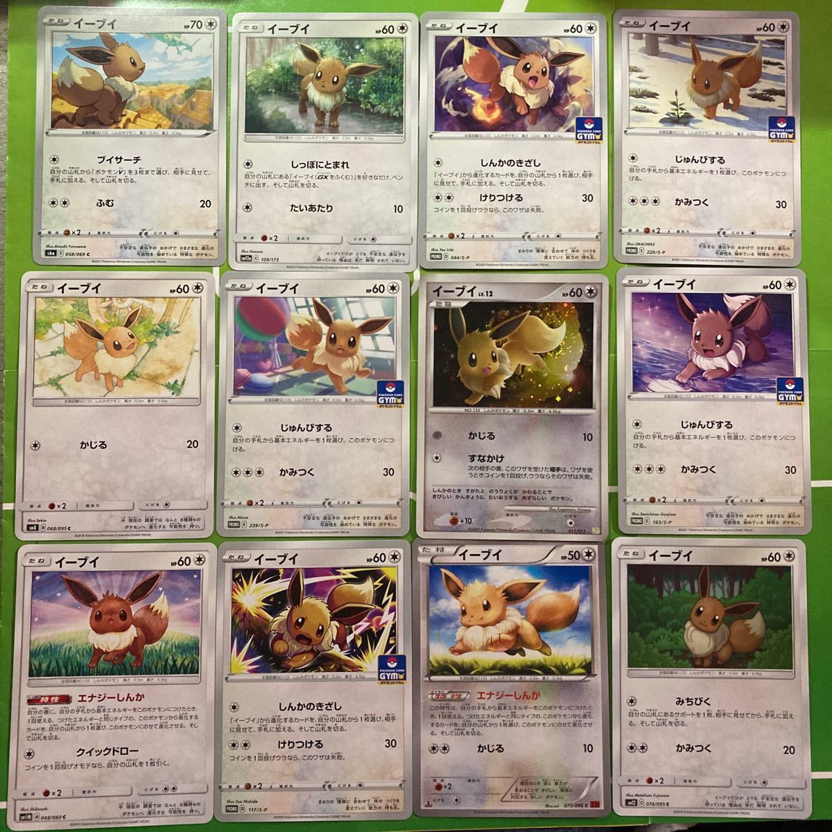 イーブイ12種類】イーブイ12枚セット ポケモンカード イーブイ イーブイ12種類】イーブイ12枚セット ポケモンカード イーブイ