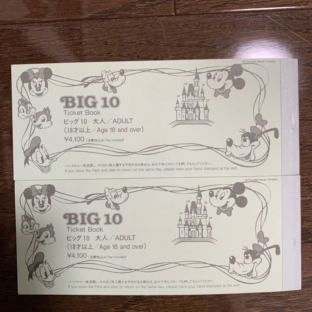 ディズニー ビッグ10チケットブック 2冊セット 春の新作シューズ満載 2冊セット ディズニー ビッグ10チケットブック 2冊セット 春の新作シューズ満載 2冊セット