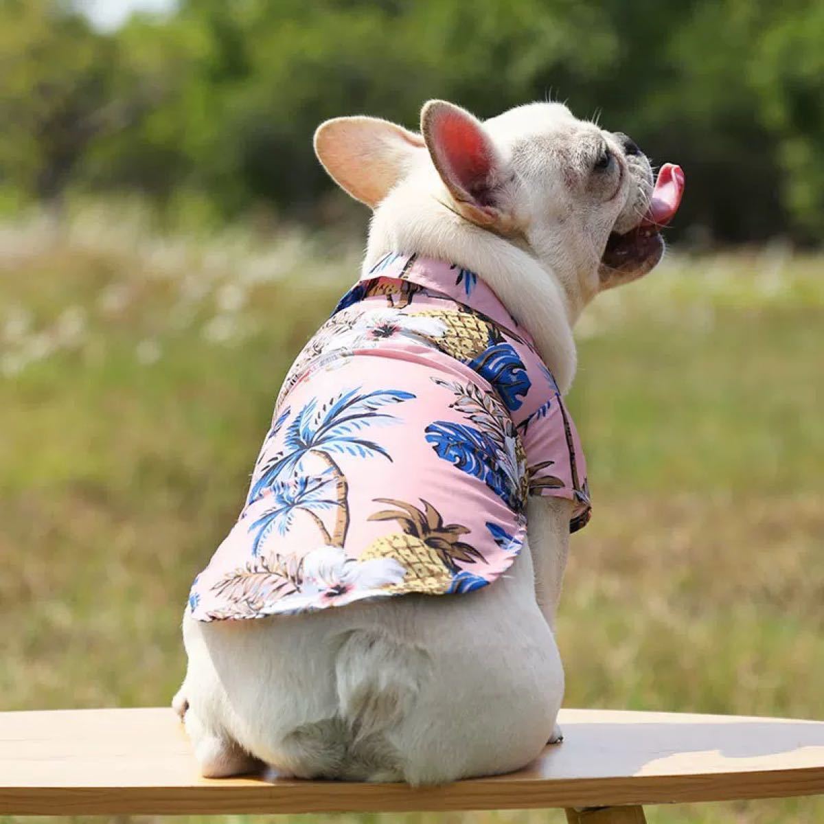 ペット用　犬　猫　アロハシャツ（Ｌサイズ・ピンク）　ペット服　夏用　涼しい
