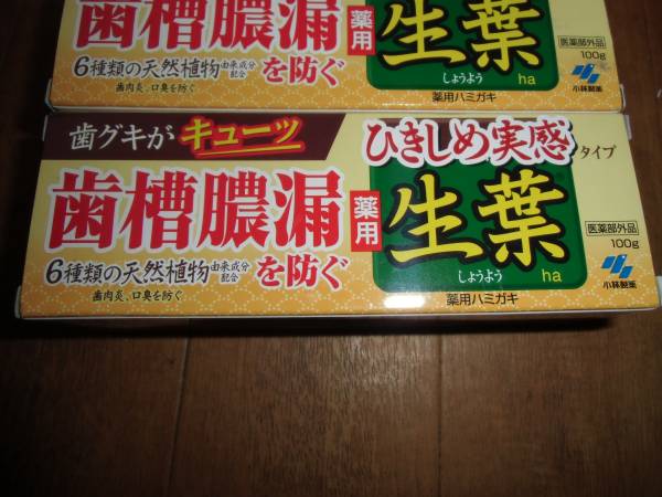 　 小林製薬 生葉 ひきしめ実感タイプ　5本　新品 _画像2