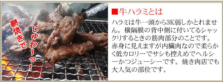 【業務用】やわらか牛ハラミ　メガ大盛り1kg 　焼肉・BBQ（バーベキュー）用のジューシーなハラミ_画像2