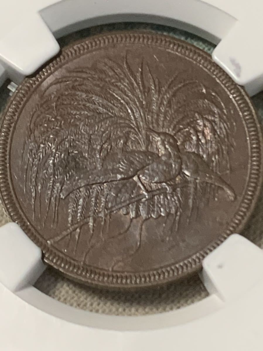 1円スタート! ドイツ領ニューギニア 1894年 10ペニヒ 銅貨 クレジット