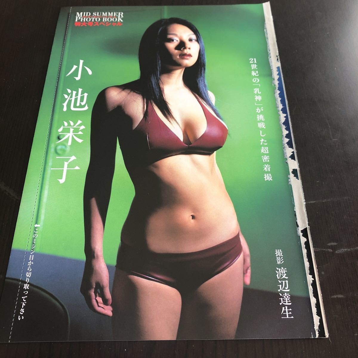 Yahoo!オークション - 小池栄子 袋とじ未開封 MID SUMMER PHOTO BOOK Yahoo!オークション - 小池栄子 袋とじ未開封 MID SUMMER PHOTO BOOK