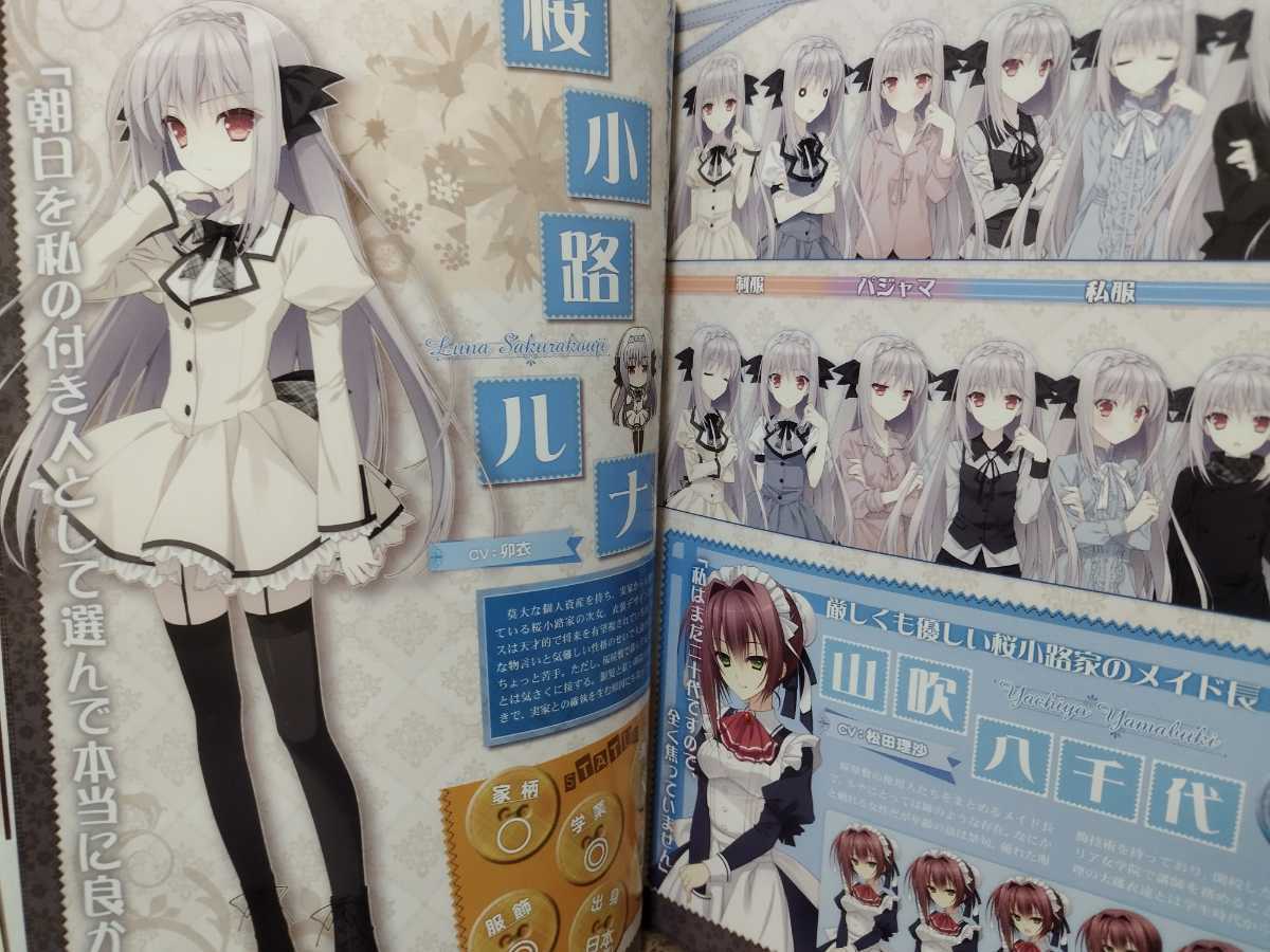 ロシアの行動 PSA10 月明りの乙女 おもちゃ・ホビー・グッズ