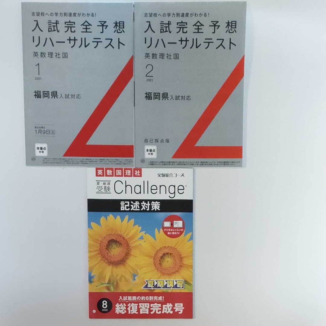 進研ゼミ　中学講座3年生教材年間セット