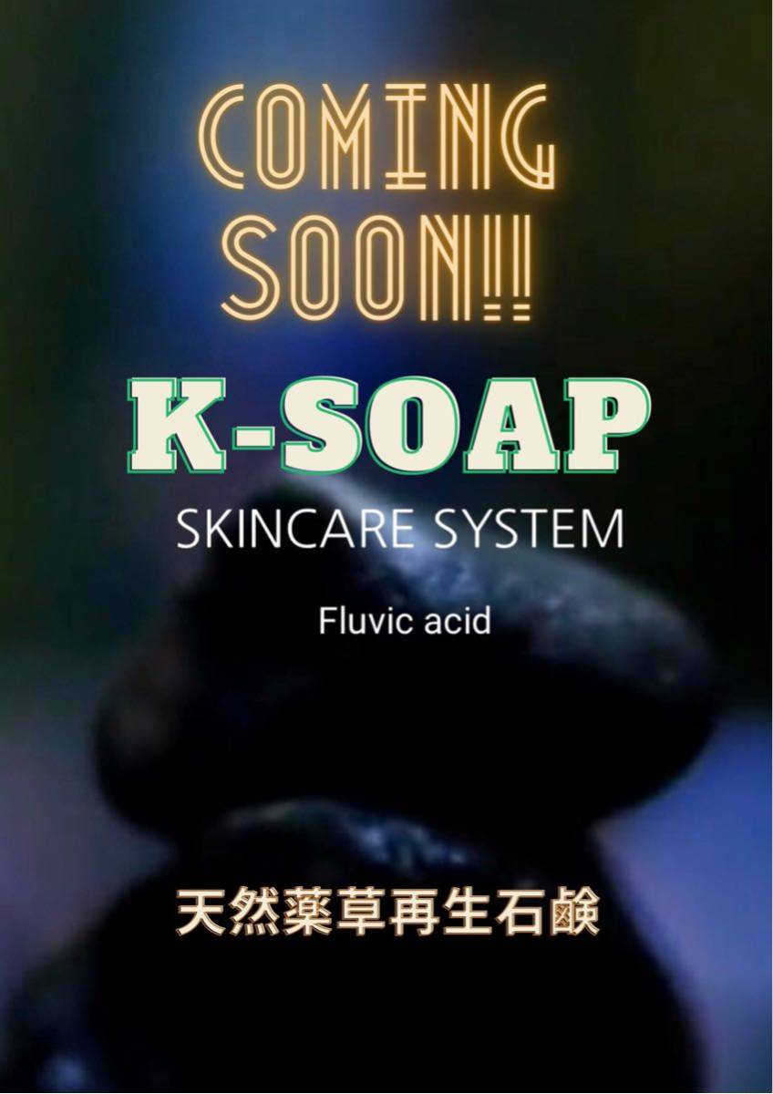 漢方の泡で優しく洗顔 すっぴんでいられるお肌へ。韓国コスメ 天然薬草