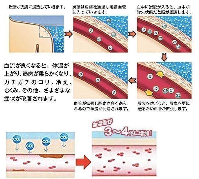 匿名配送【炭酸整体スプレー 白】3本 プラセンタ含 新品 、特典冊子付