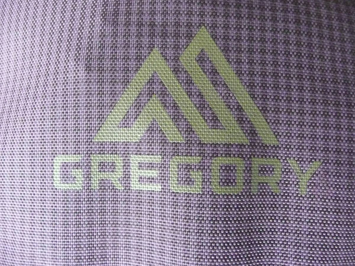 GREGORY グレゴリー 極上デイパック/リュックサック(SKETCH25/パープル/容量25L/H48×W27×D11cm)アウトドア 登山 トレッキング ハイキング