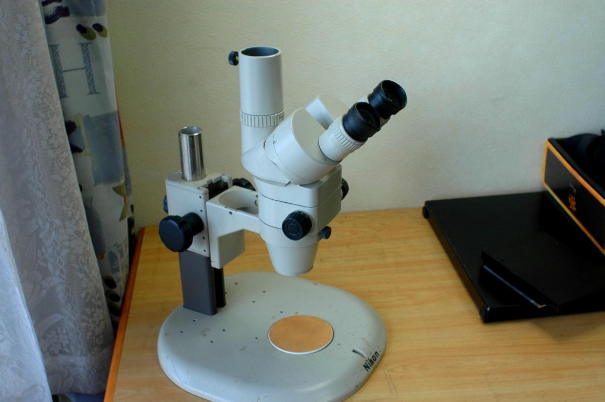 最新情報 ニコン実体顕微鏡SMZ-2T - 顕微鏡 - www.comisariatolosandes.com