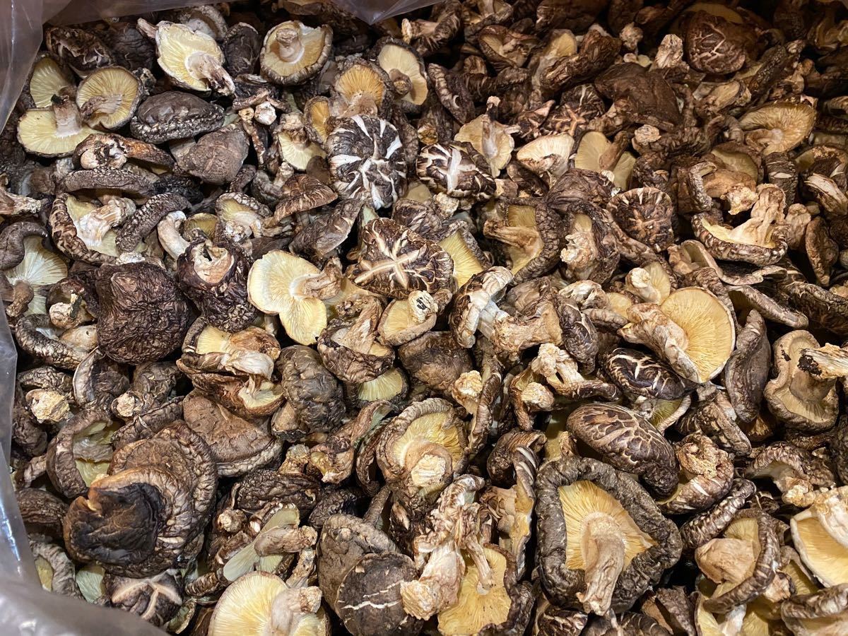 大分県産原木乾燥椎茸 干し椎茸 100グラム|Yahoo!フリマ(旧 大分県産原木乾燥椎茸 干し椎茸 100グラム|Yahoo!フリマ(旧