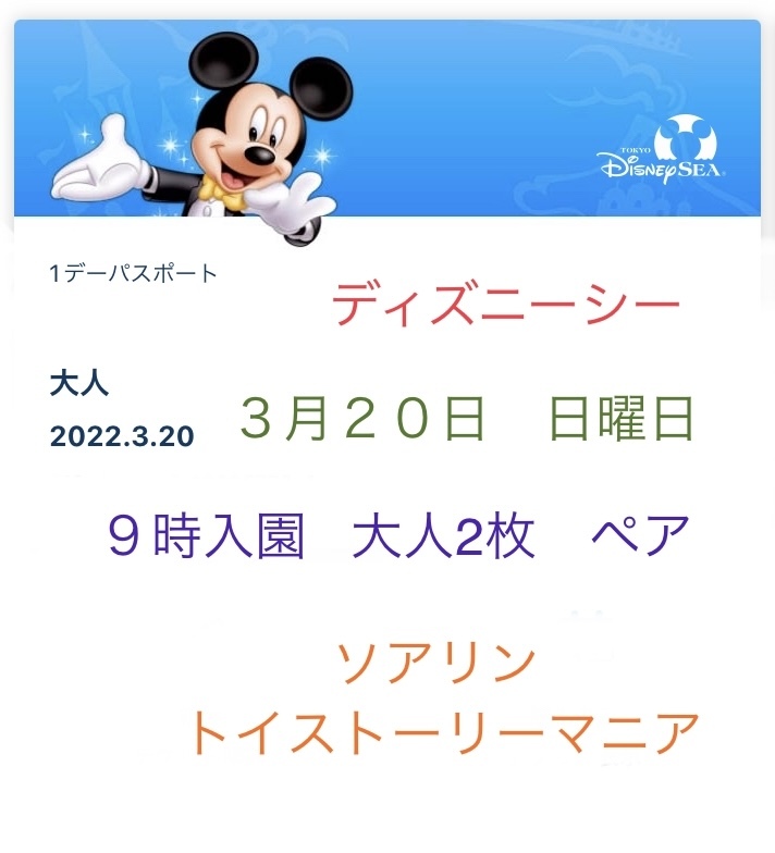 最大15%OFFクーポン ディズニーチケット 大人2枚 ディズニーペア
