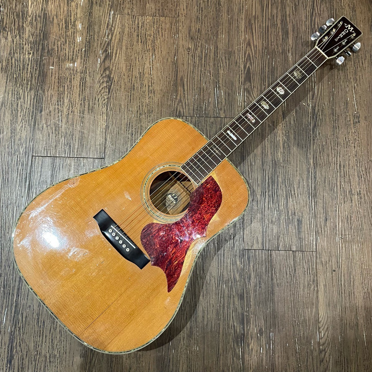 人気セール】 ヤフオク! - Morris モーリス W-50 TF Acoustic Guitar