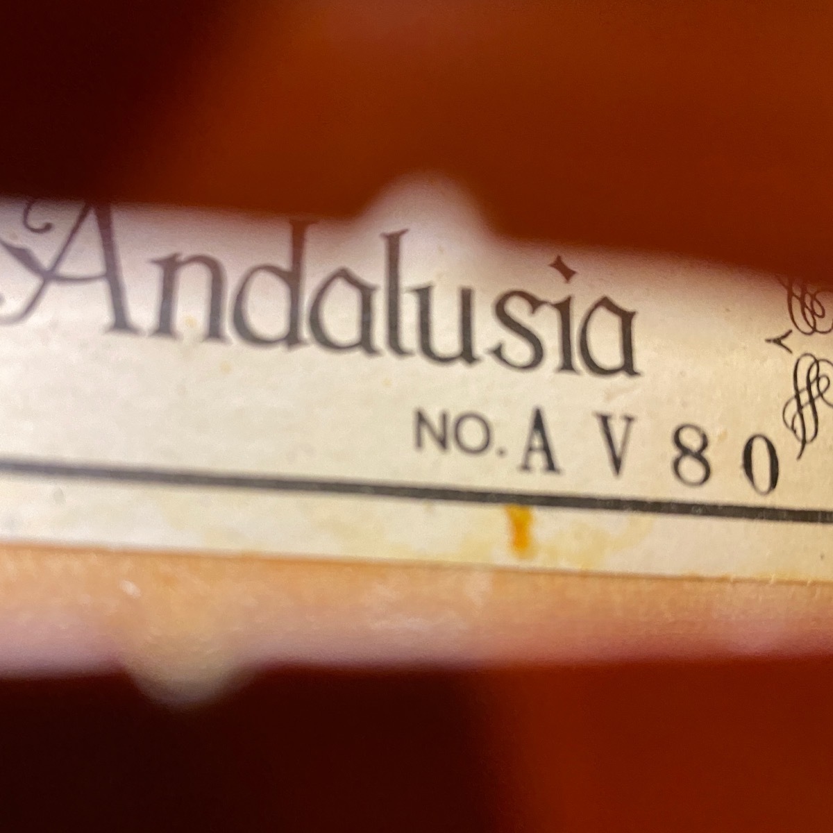 上品 Andalusia -GrunSound-x497- バイオリン アンダルシア Violin AV-80 - バイオリン -  www.comisariatolosandes.com