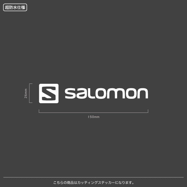 SALOMON_サロモン【02】【15cm】カッティングステッカー_画像1