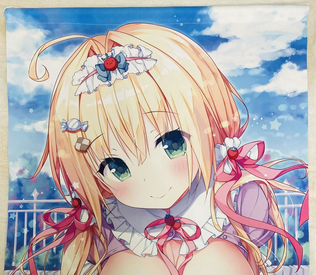 送料無料】【セット品】きのこのみ kino konomi B2タペストリー