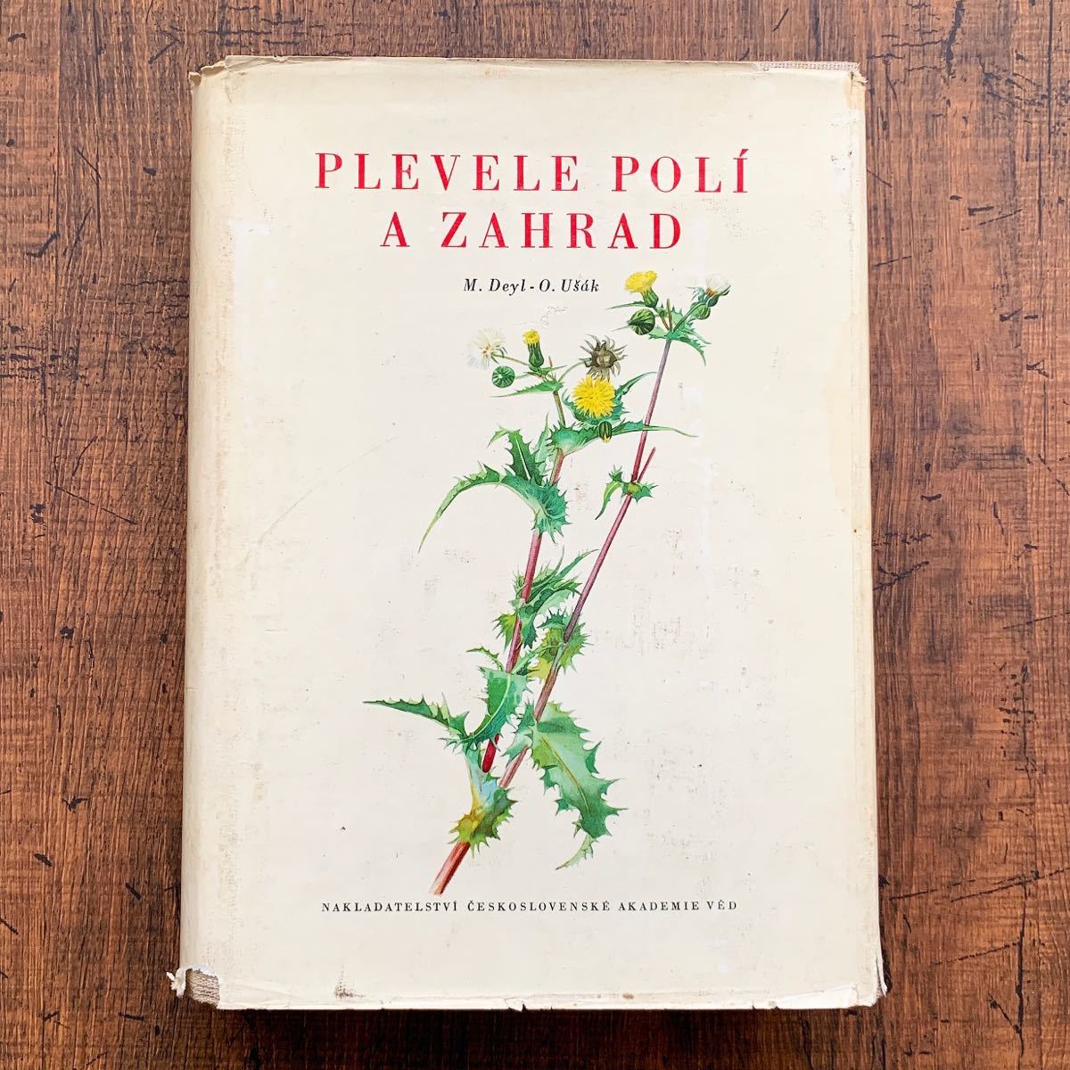チェコの古い植物図鑑(PLEVELE POLI A ZAHRED 1964年 チェコの古い植物図鑑(PLEVELE POLI A ZAHRED 1964年