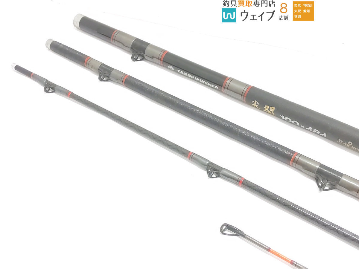 ダイワ カーボウィスカー 尖閣 100号 484 | laninternet.com.br