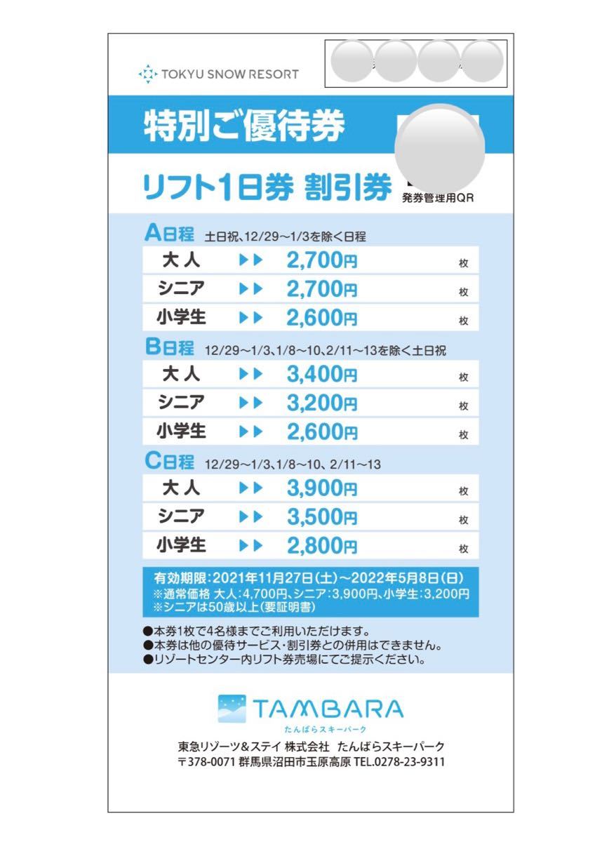 リフト1日券 バラ売り - その他