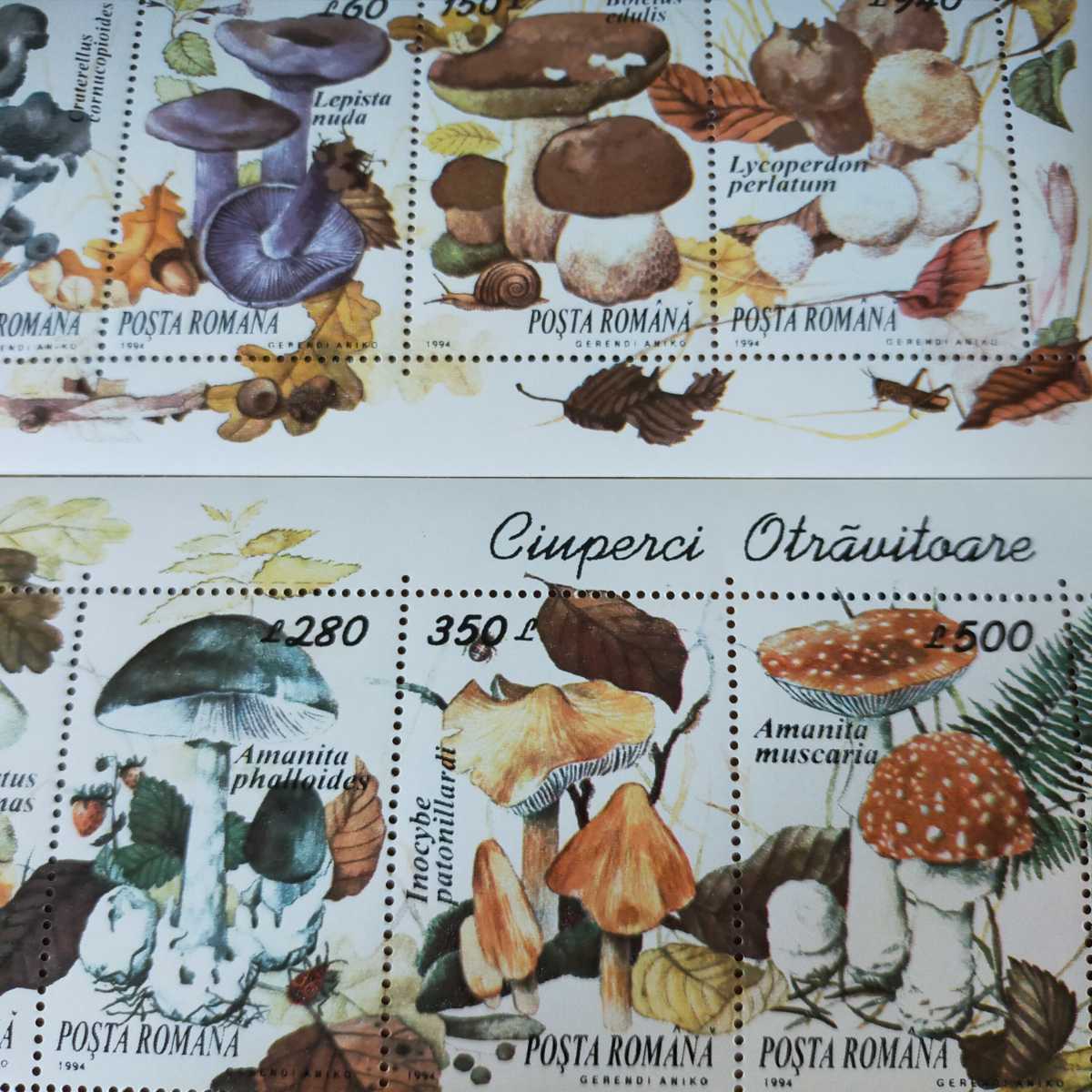 レア1994年ルーマニアキノコマッシュルーム切手シートセット_画像3