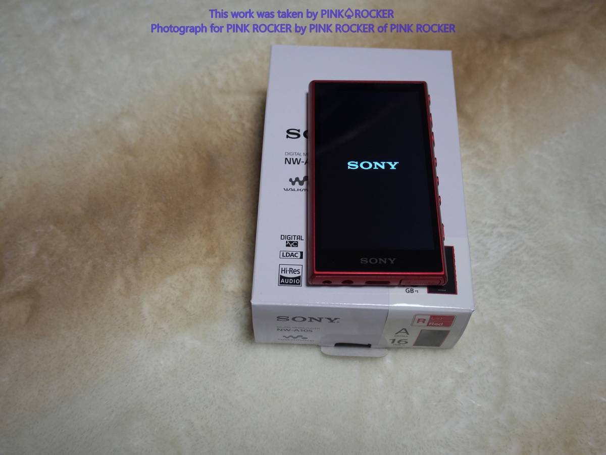 SONY WALKMAN NW-A105(純正ソフトケース付) castiello.com