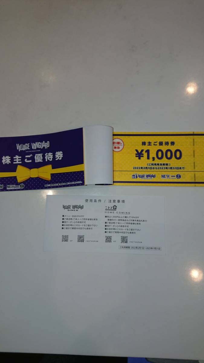 ヴィレッジヴァンガード 株主ご優待券24枚（1冊1000円×12枚）×2