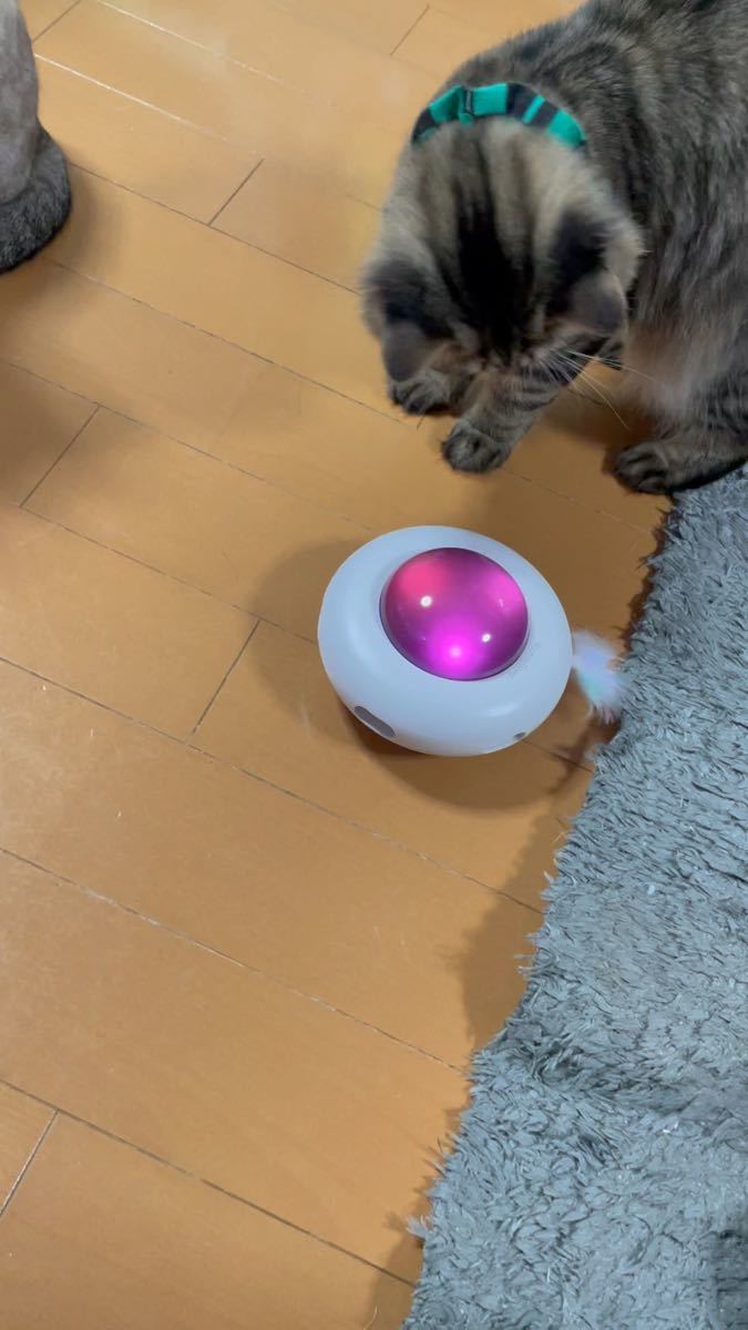 スマート　猫おもちゃ　UFO型　USB充電　インテリジェント　猫じゃらし　自動走行　一人遊び　お留守番に　タイマー　自動オンオフ　