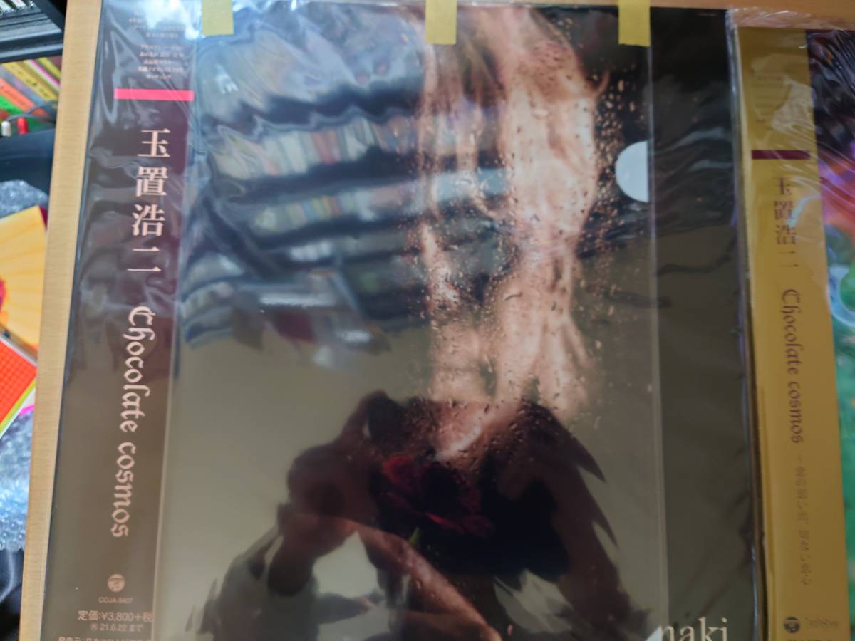 玉置浩二 2商品セット Chocolate cosmos ～恋の思い出、切ない恋心 レコード アナログ 2