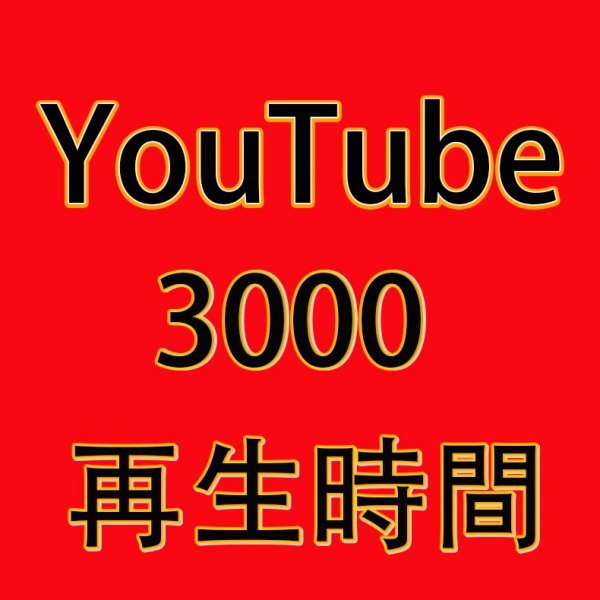 短い動画可 ユーチューブ 3000再生時間 収益化申請 YouTube 最高品質 保証付き 視聴時間 再生時間