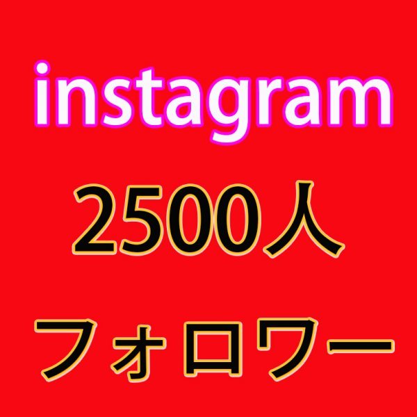 インスタグラム フォロワ 2500人 インスタグラム フォロワー フォロワー増加 Instagram followers 30日保証付き IDのみ Instagram