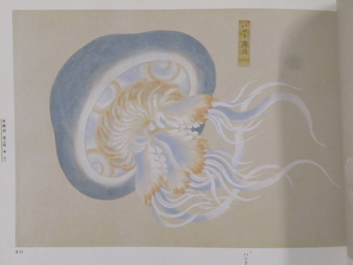 高松松平家所蔵【衆鱗図◇全5冊揃】江戸期 魚類画 高松松平家所蔵【衆鱗図◇全5冊揃】江戸期 魚類画