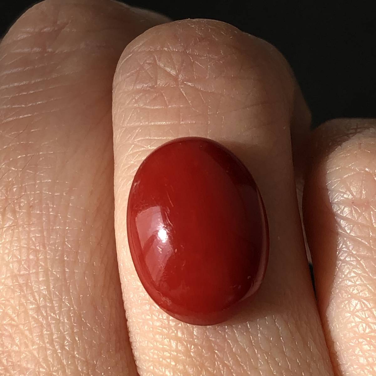 鑑別済み 大粒 ☆ 血赤 珊瑚 サンゴ ルース | bioimune.com.br