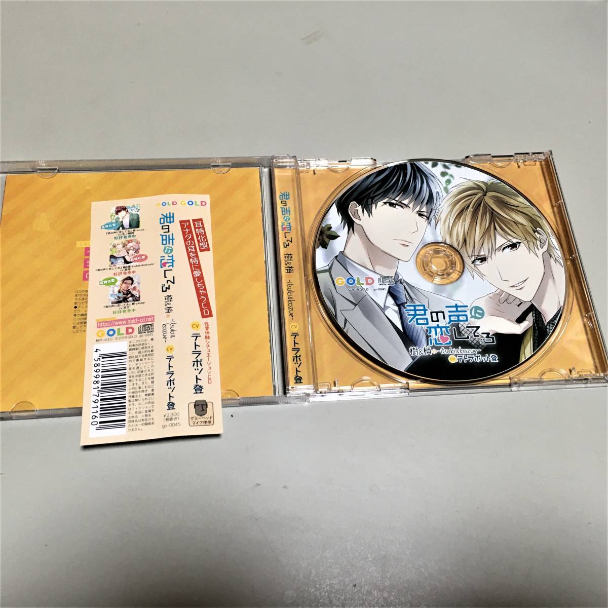 人気満点 君の声に恋してる 樹 梢 テトラポット登 fawe.org