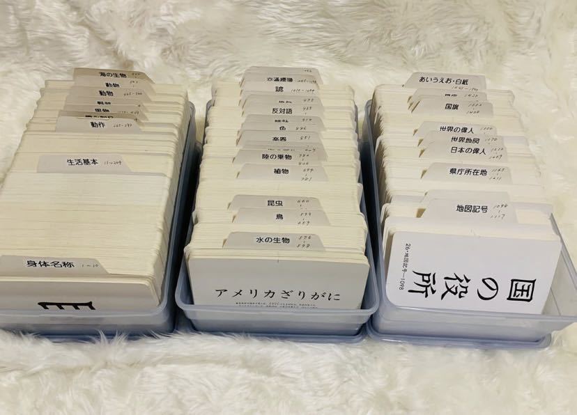 家庭保育園 教材絵カード1500 CD10枚 英語 韓国語 中国語 フランス語 スペイン語