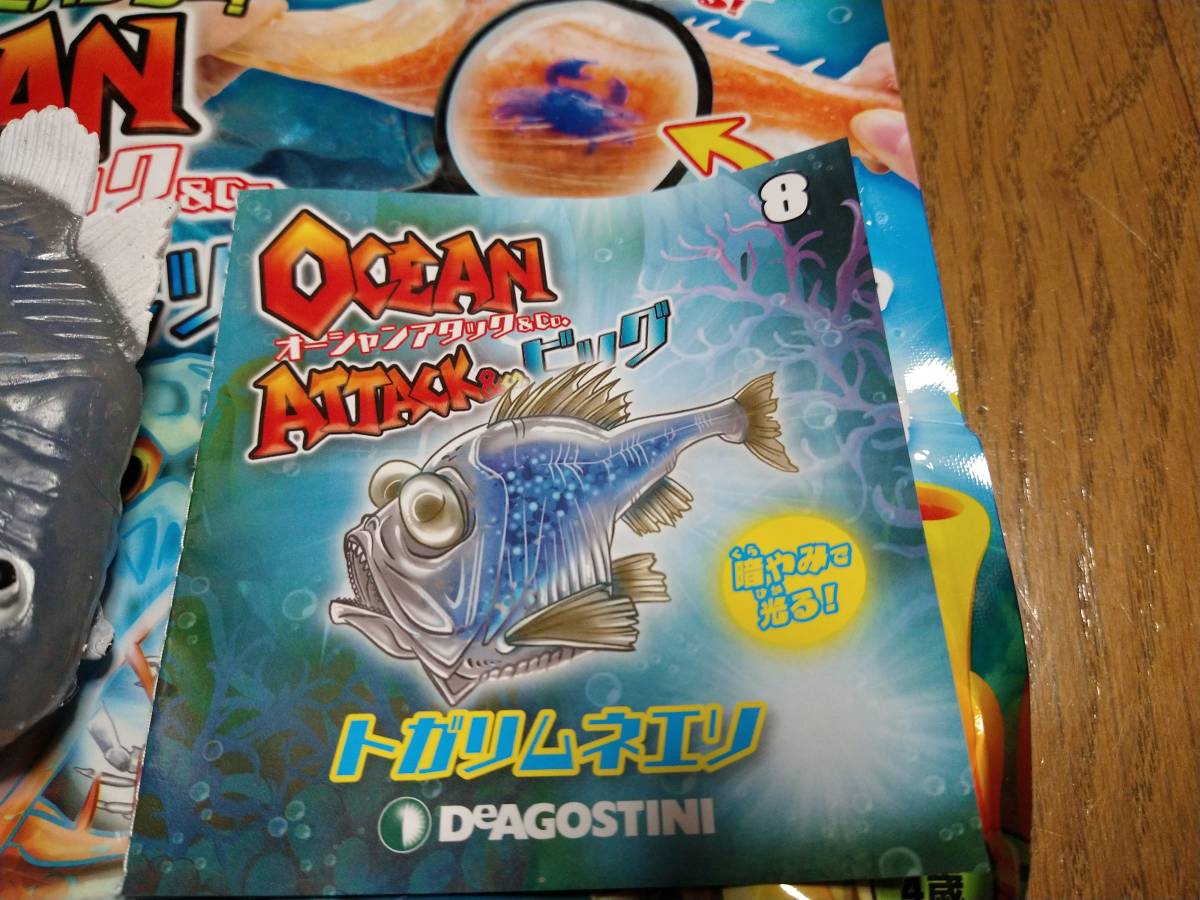 オーシャンアタックco トガリムネエリ