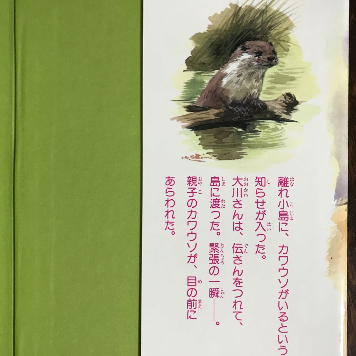 なぞのカワウソ島　大西 伝一郎（作）清水 勝（絵）ひくまの出版（1985年初版）　[as15]_画像4